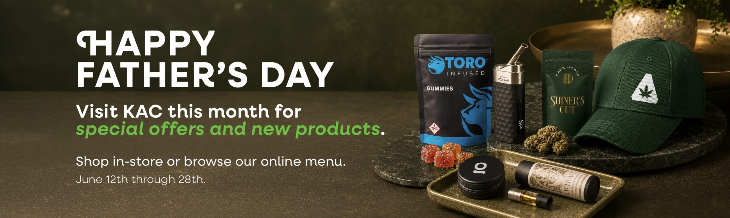 Father's Day promo banner