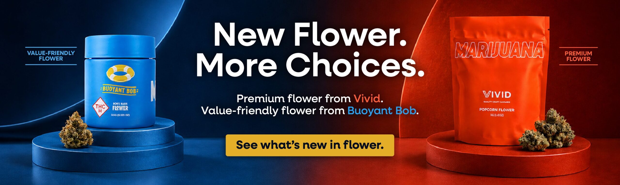 Buoyant Bob and Vivid promotional banner